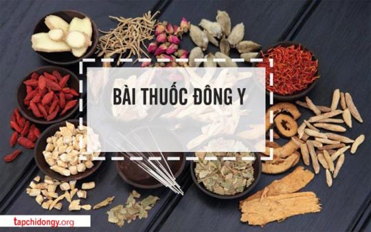 Thuốc Đông y trị bệnh chàm da