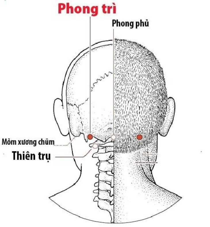 Chữa viêm họng bằng việc bấm huyệt phong trì giúp lưu thông khí huyết, giảm nhanh triệu chứng