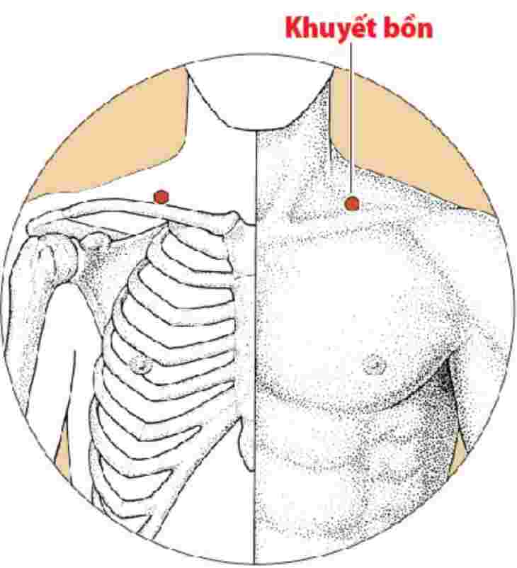 Vỗ nhẹ vào huyệt khuyết bồn sẽ giúp giảm ho, long đờm hiệu quả 