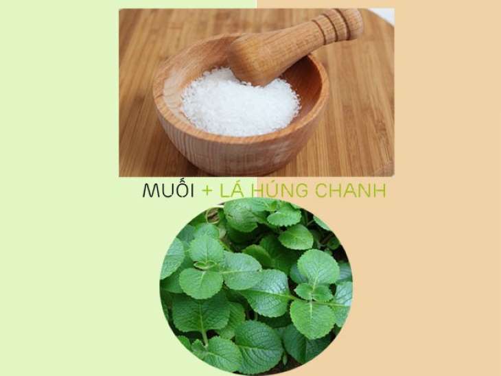 Húng chanh kết hợp với muối là một trong những cách chữa viêm họng bằng thuốc nam hiệu quả