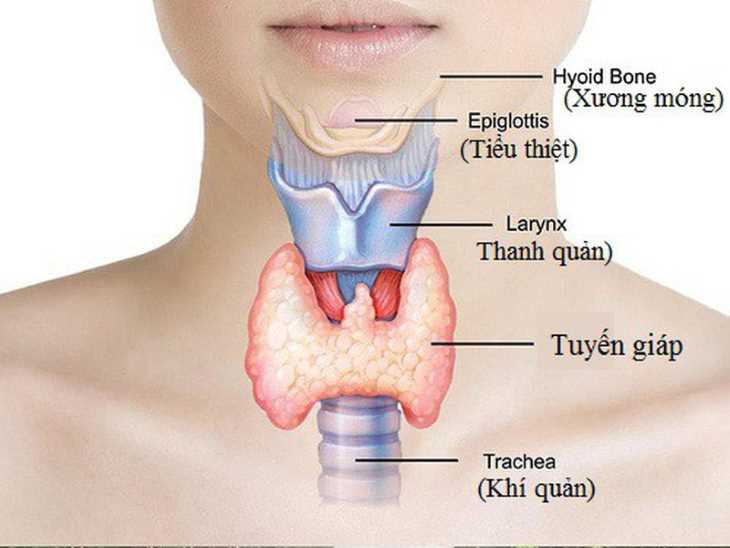 Tuyến giáp hoạt động không bình thường có thể khiến người bệnh cảm thấy mệt mỏi, ngứa ngáy