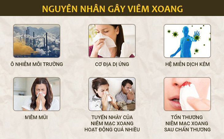 Các nguyên nhân gây bệnh viêm xoang cấp thường gặp