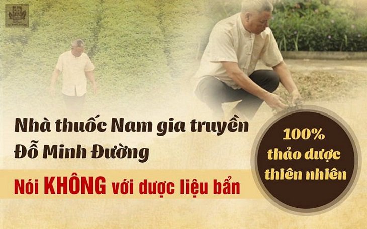 Nhà thuốc Đỗ Minh Đường có 3 vườn thảo dược sạch chuyên biệt ở Hòa Bình, Hưng Yên và Gia Lâm (Hà Nội)