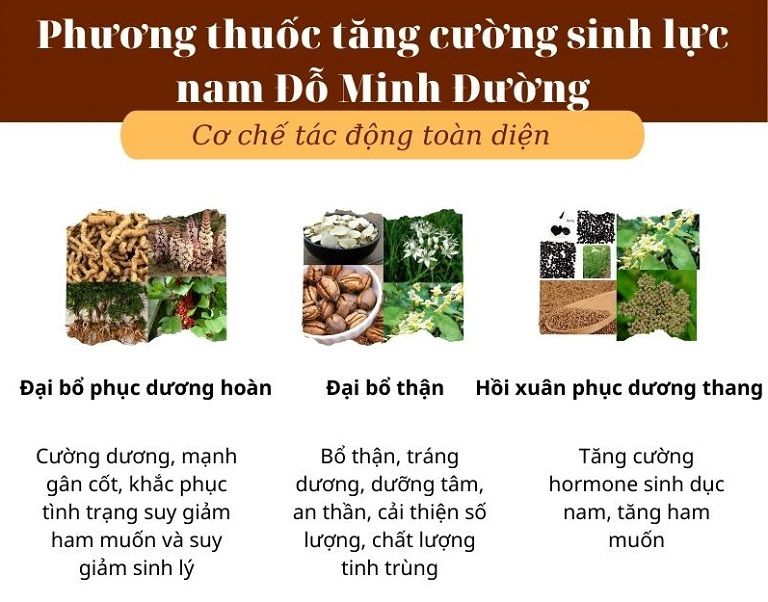 Thành phần và công dụng từng chế phẩm trong bài thuốc Sinh lý nam Đỗ Minh