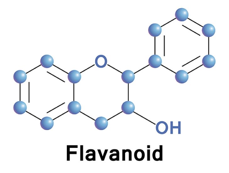 Flavonoid cũng là một trong những hoạt chất quan trọng của khổ qua rừng