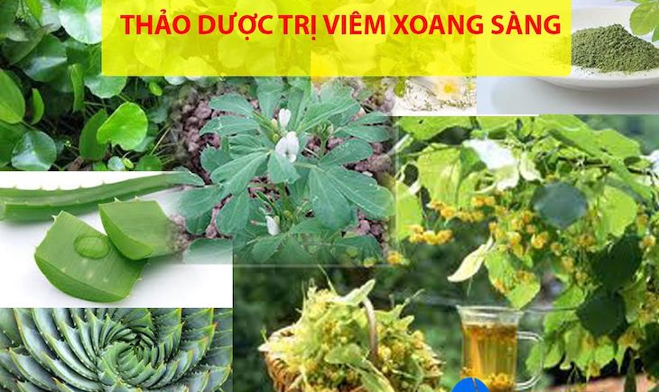 Các loại thảo dược tự nhiên chữa viêm xoang sàng sau