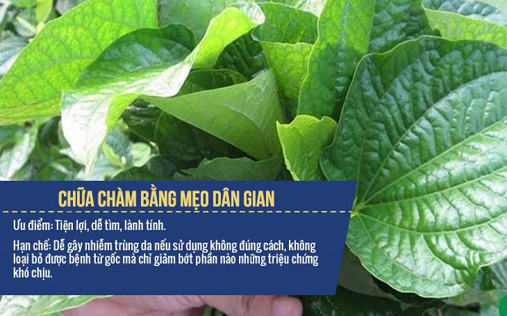 Sử dụng các loại lá là phương pháp đơn giản, an toàn nhưng chưa thực sự mang lại hiệu quả