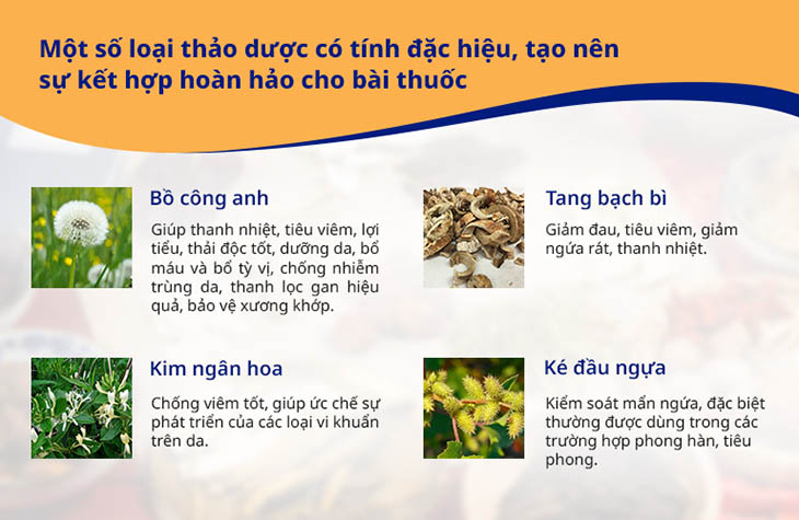 Những vị thuốc tạo nên thành công của An Bì Thang