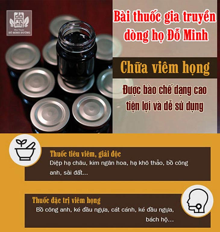 Một số thành phần chính trong bài thuốc viêm họng, viêm amidan Đỗ Minh