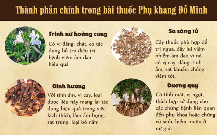 Một số thành phần trong bài thuốc phụ khoa Đỗ Minh Đường