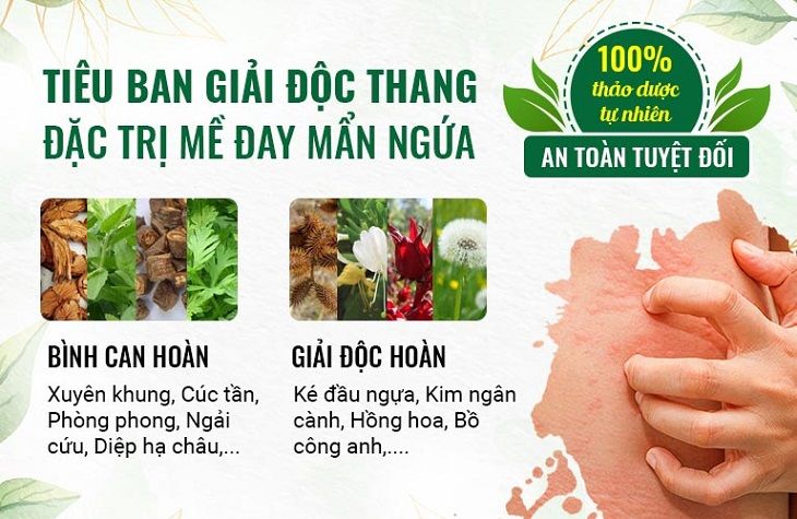 Tiêu ban Giải độc thang hòa quyện 2 phép trị bệnh căn bản trong Đông y