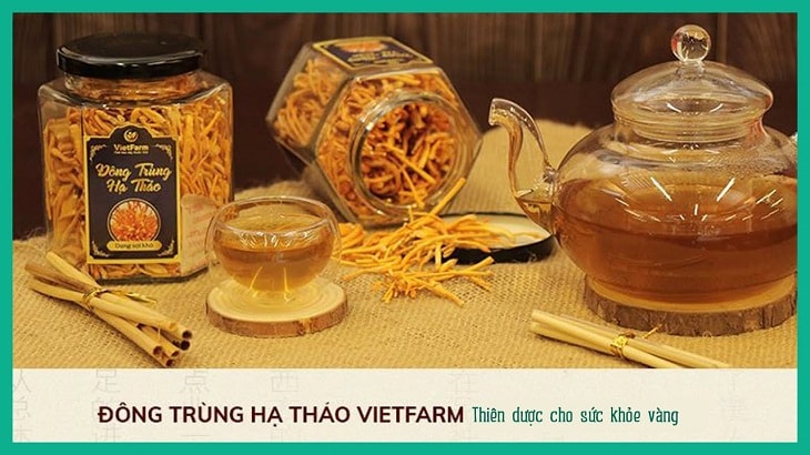 Mua đông trùng hạ thảo đảm bảo uy tín chất lượng tại Vietfarm