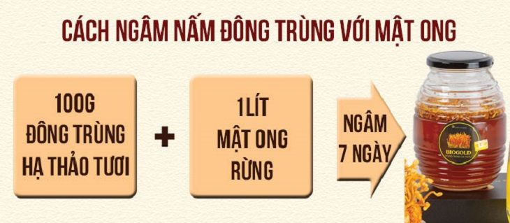 Cách làm đông trùng hạ thảo tươi ngâm mật ong