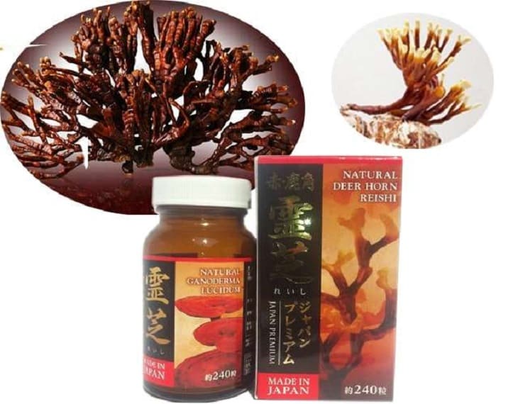 Đông trùng hạ thảo Reishi của Nhật