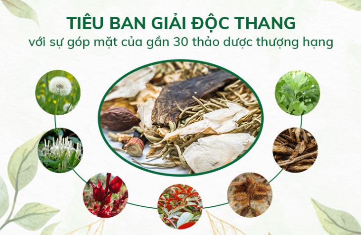 Bài thuốc được tinh chiết từ nhiều thảo dược quý chủ trị các bệnh ngoài da hiệu quả