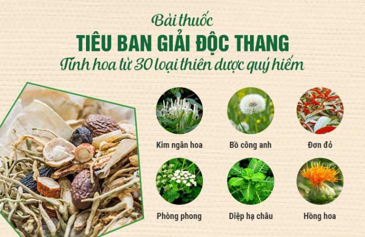 Bài thuốc hòa quyện 100% thảo dược sạch 10 vị bổ 10