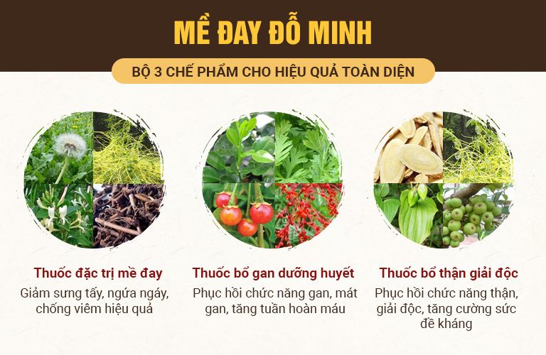 Bài thuốc Mề đay Đỗ Minh hiệu quả vượt trội, an toàn cho cả mẹ và trẻ nhỏ