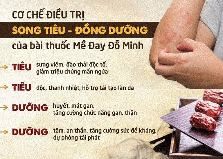 Cơ chế Song tiêu - Đồng dưỡng của Mề đay Đỗ Minh