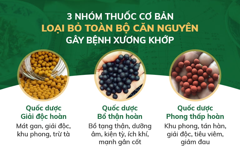 3 nhóm thuốc cơ bản phối chế trong bài thuốc Quốc dược Phục cốt khang