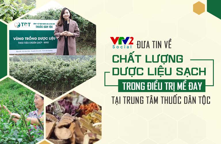 Vườn dược liệu của Trung tâm Thuốc dân tộc được VTV2 đưa tin