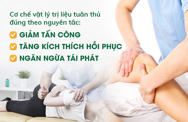 Dịch vụ trị liệu tại Đông phương Y pháp với cơ chế tác động chuyên sâu, hiệu quả nhanh chóng