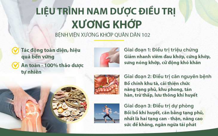 Liệu trình nam dược chữa xương khớp 3 giai đoạn