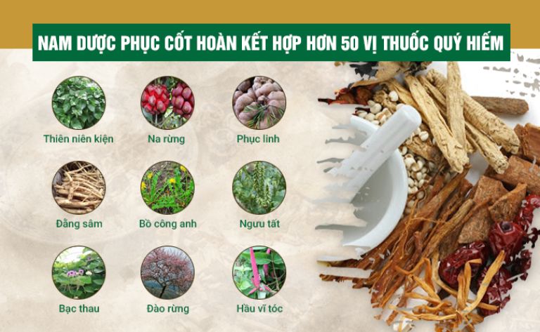 Bảng thành phần 10 vị bổ 10 của Nam dược Phục cốt hoàn