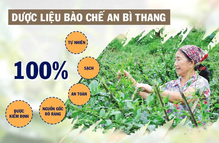 Tiêu chuẩn dược liệu chất lượng, an toàn tuyệt đối của bài thuốc An Bì Thang