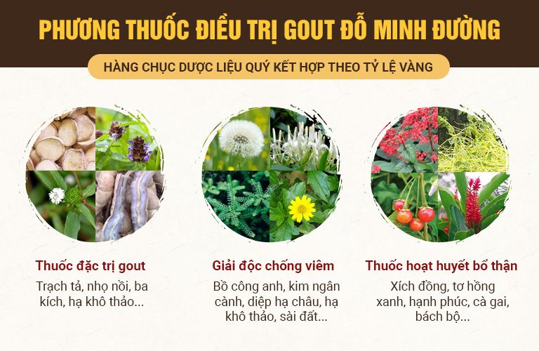 Công dụng bài thuốc Gout Đỗ Minh