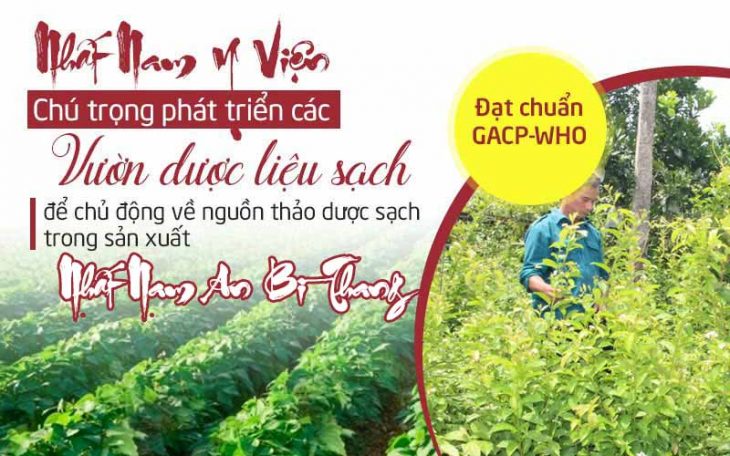 Nguồn dược liệu bào chế Nhất Nam An Bì Thang đảm bảo tiêu chuẩn và đã được kiểm định