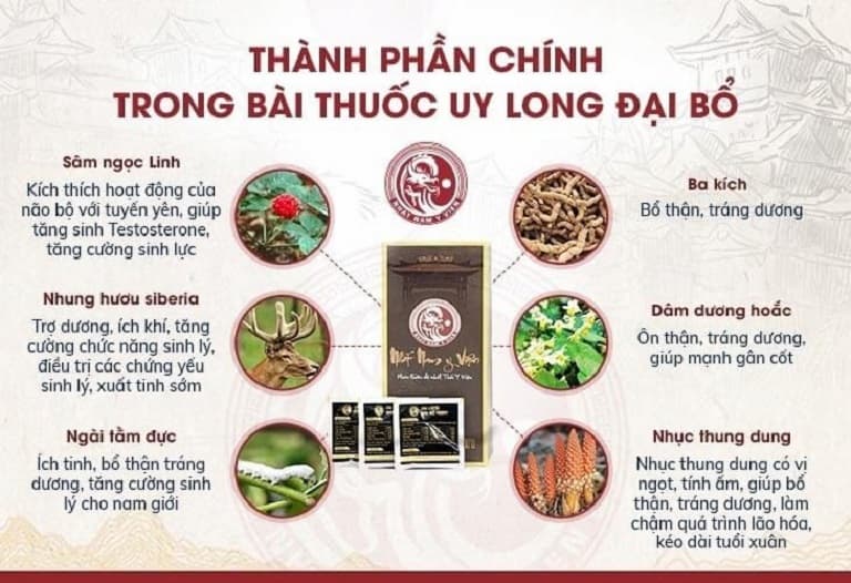 Công dụng các dược liệu có trong bài thuốc Uy Long Đại Bổ