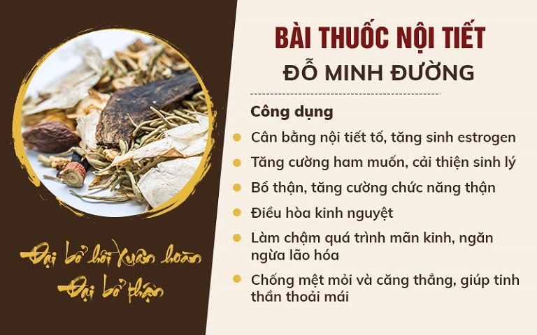 Công dụng bài thuốc Nội tiết Đỗ Minh