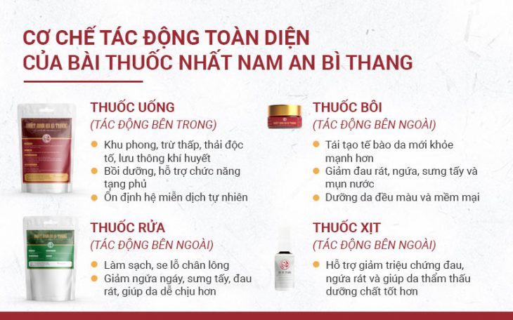 Các chế phẩm Nhất Nam An Bì Thang chữa viêm nang lông