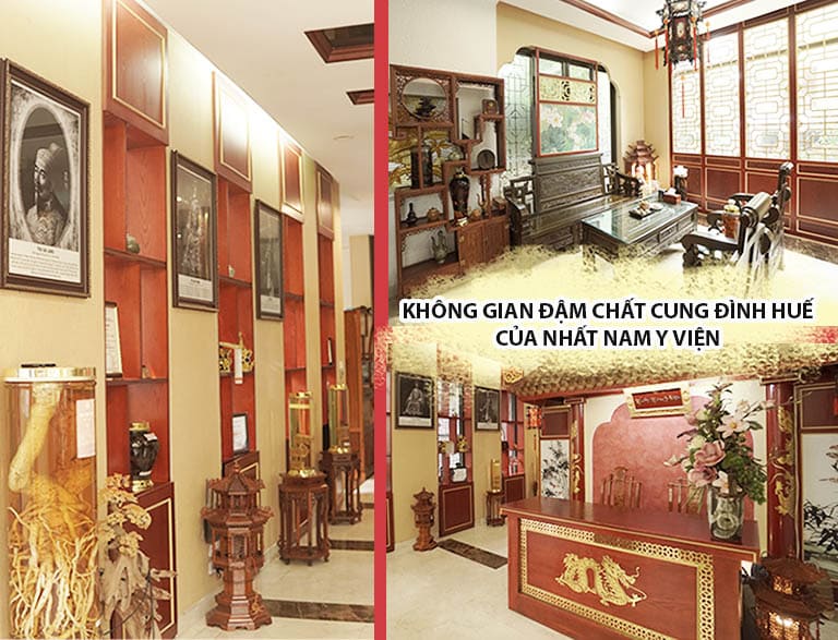 Không gian của Nhất Nam Y Viện