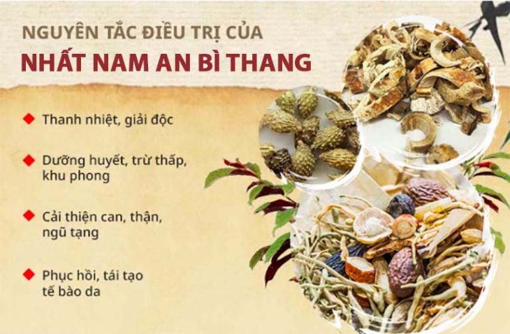 Nguyên tắc điều trị viêm da của bài thuốc Nhất Nam An Bì Thang