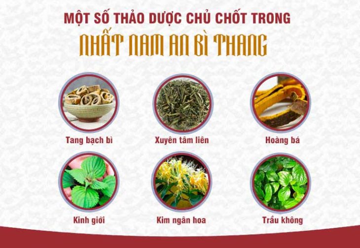 Các dược liệu trong bài thuốc Nhất Nam An Bì Thang chữa viêm nang lông