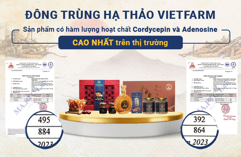 Đông trùng hạ thảo Vietfarm sở hữu hàm lượng hoạt chất cao nhất thị trường - Đem lại nhiều tác động ưu việt đến sức khỏe