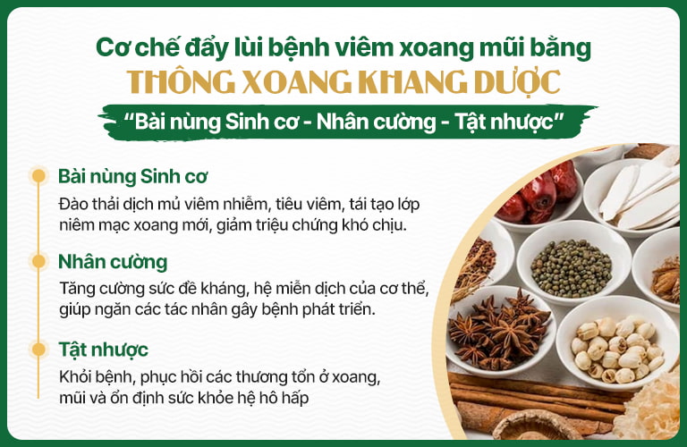 Cơ chế điều trị Thông xoang khang dược