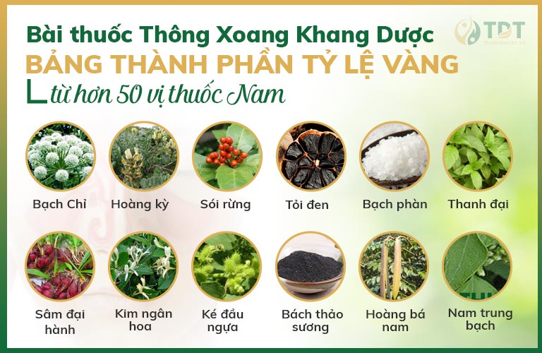 Các thành phần bài thuốc Thông xoang Khang dược